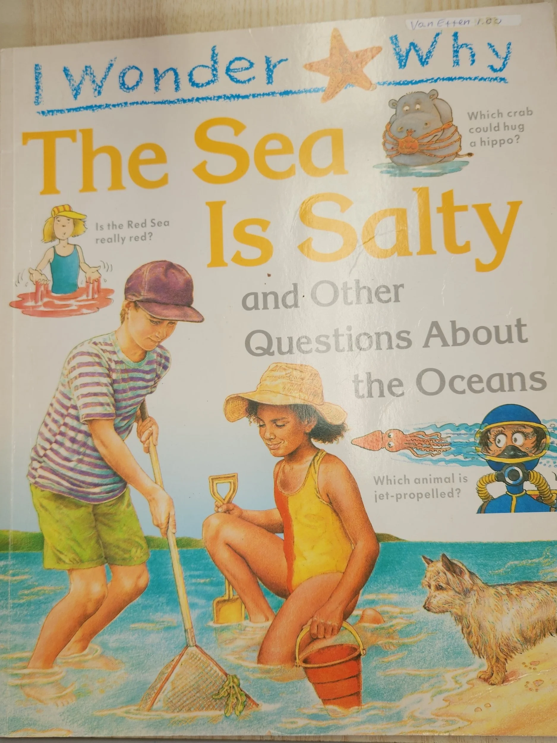 I Wonder Why The Sea is Salty