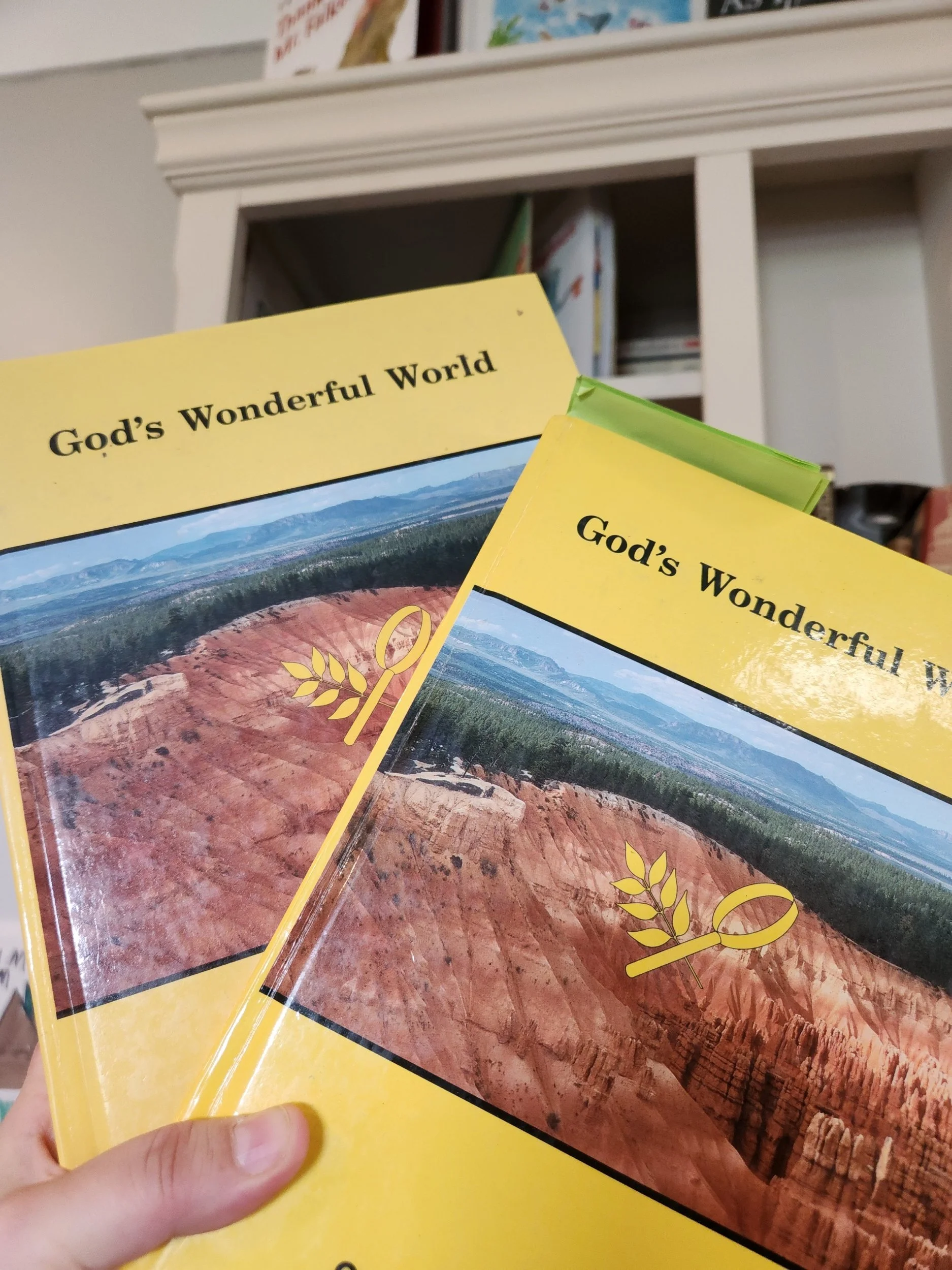 Gods Wonderful World Rod and Staff Set Teachers Guide Student book