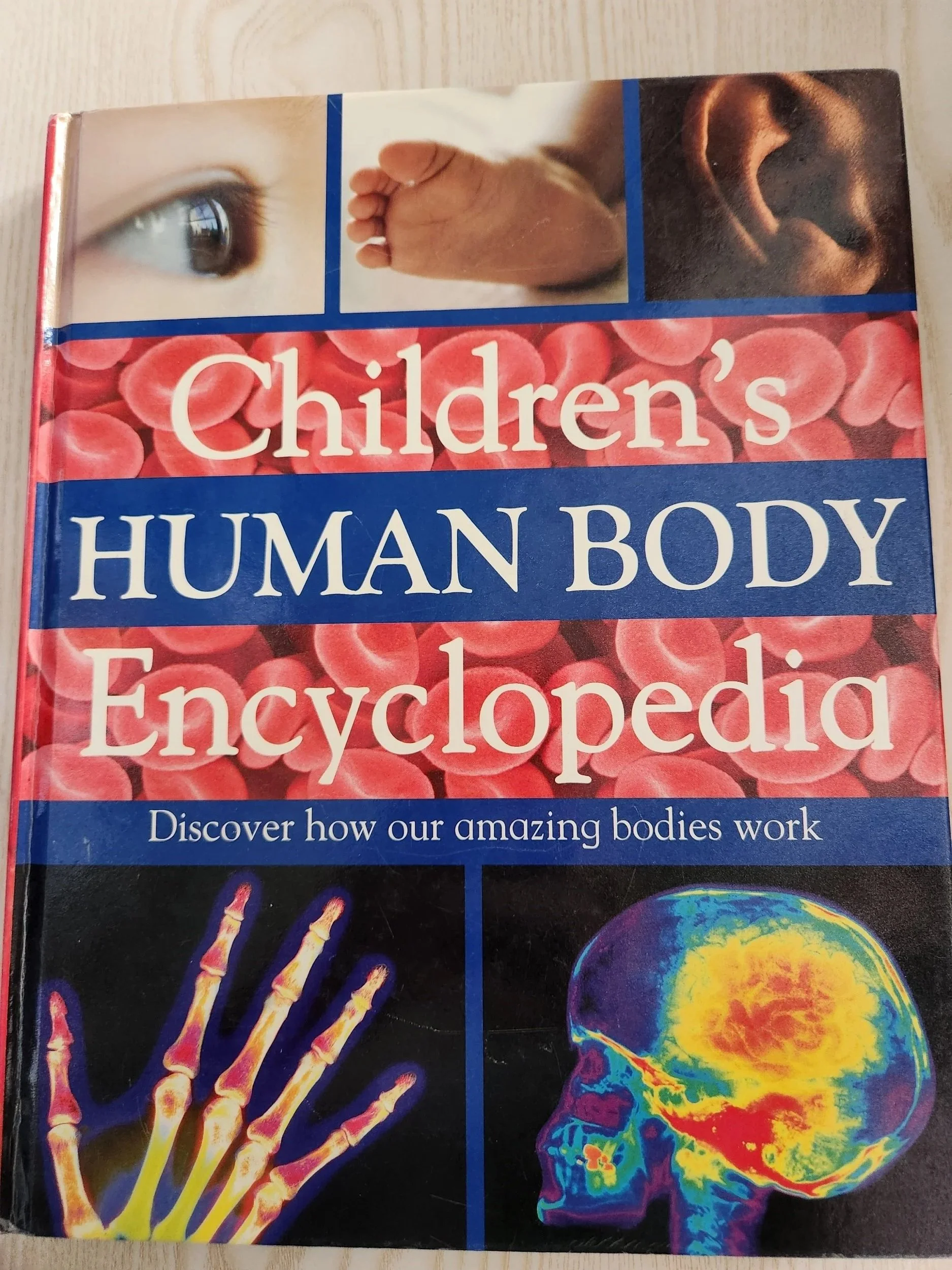 Childrens Human Body Encyclopedia