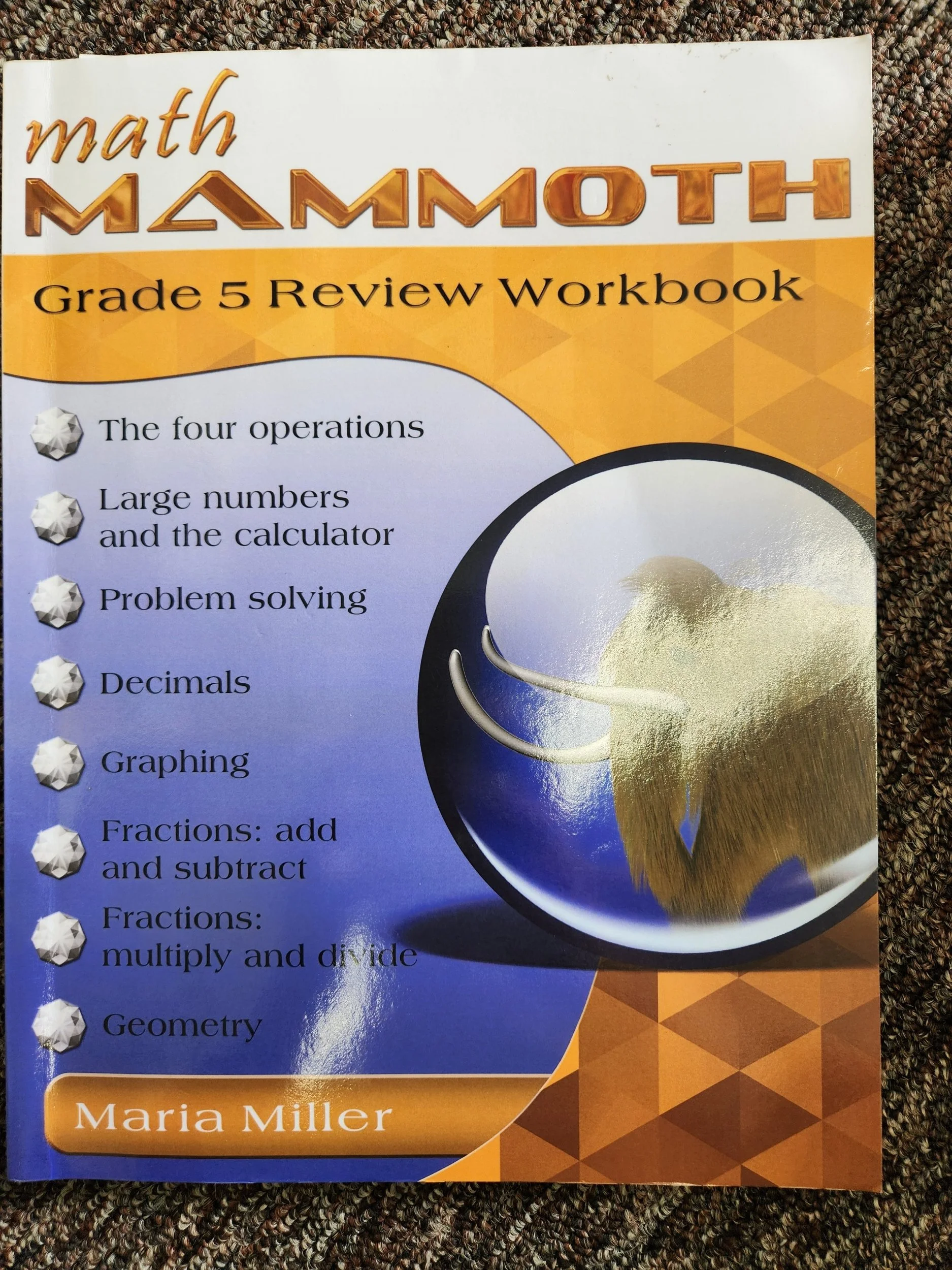 Math Mammoth Grade 5 Review Workbook