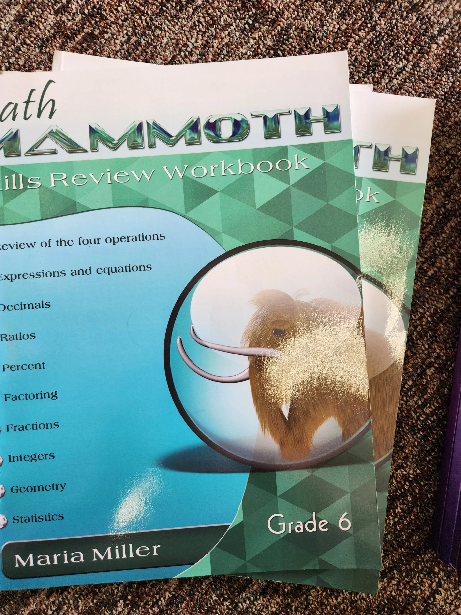 Math Mammoth Skills Review Workbook Grade 6