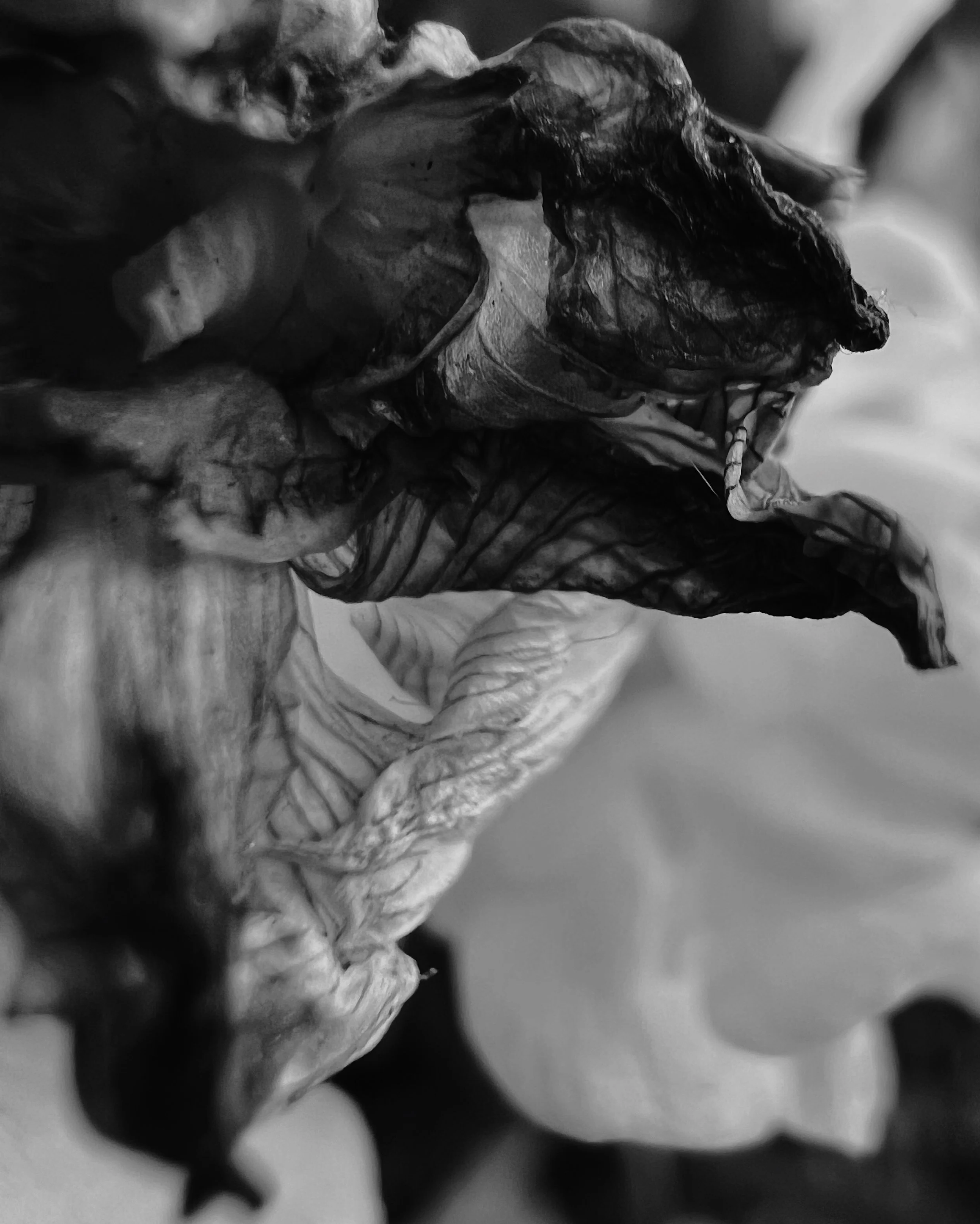 77F23E82-BFE5-4FD4-B76B-A05057EDBF68.png