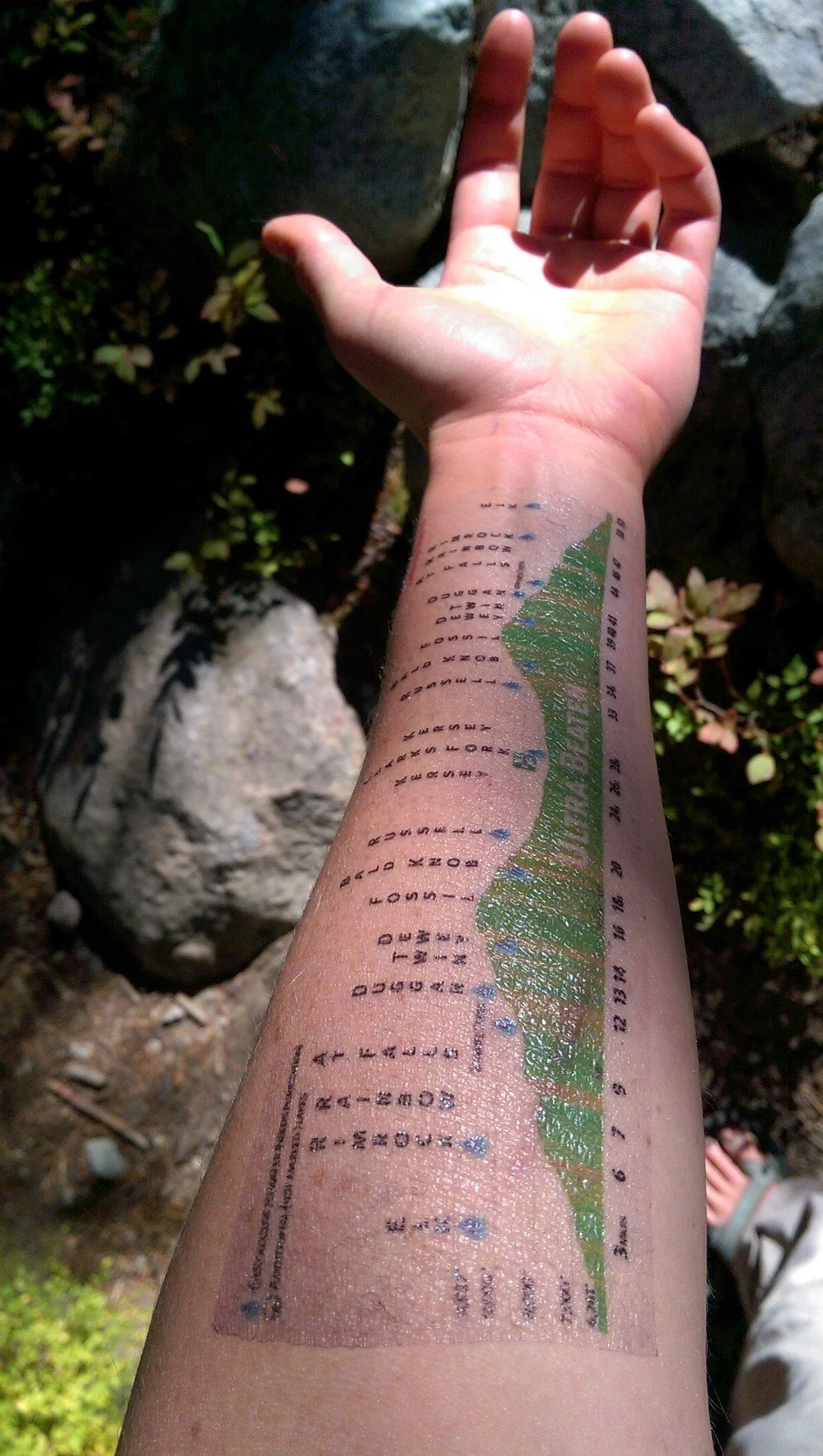 WP_20160910_043 1.jpg