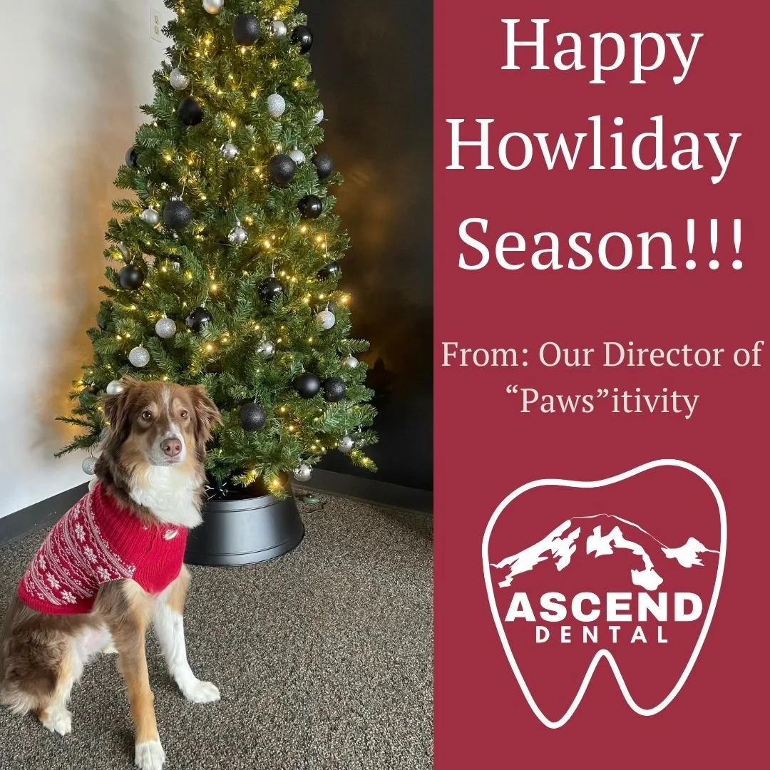 🎄🐾 Happy Howliday Season from our director of &quot;Paws&quot;itivity at Ascend Dental Puyallup! 🐾 🎄

As the year comes to a close, it's important to make sure your smile is shining bright for all the holiday festivities ahead. From routine clean