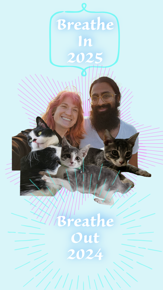 Breathe In Fish Breath, Breathe Out Meows: Renewal for the New Year: December Kitty Konnection