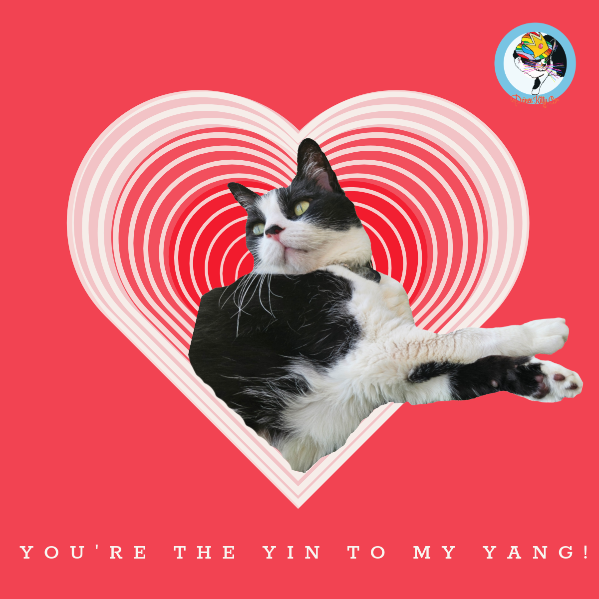 Thrive in Meowtuality! Feb 2025 Kitty Konnection