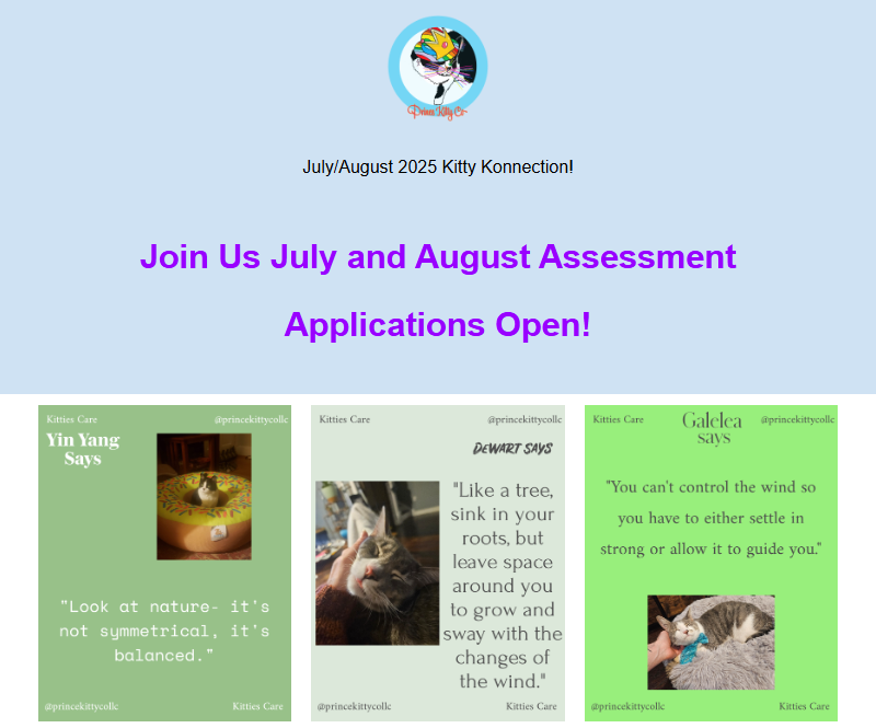 Join Us July and August Assessment Applications Open!: July/August 2025 Kitty Konnections