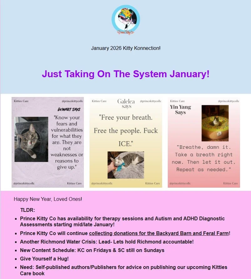 Just Taking On The System January!: January 2026 Kitty Konnection!