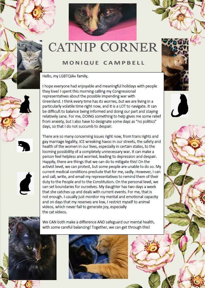 Catnip Corner 01/15/2026