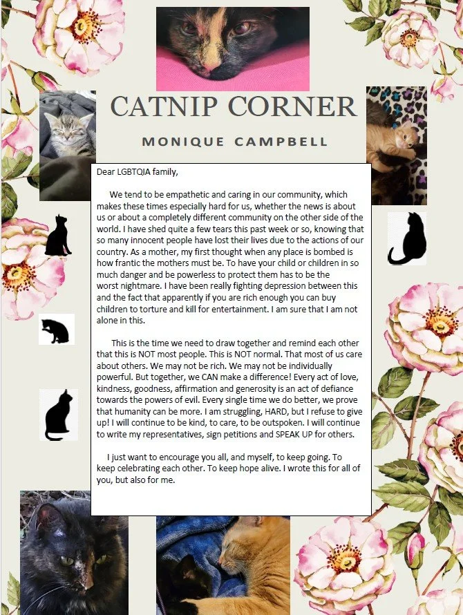 Catnip Corner 3/10/26