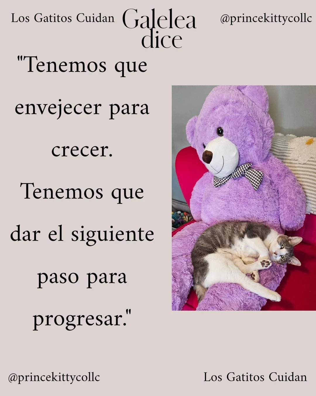 1780861559713.jpg