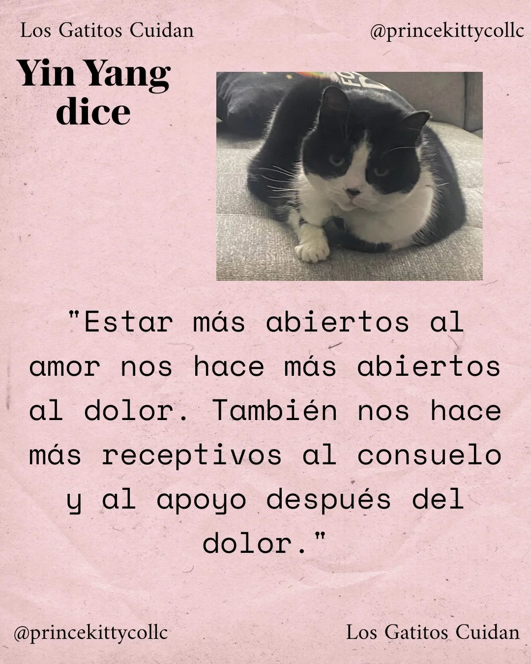 Estar mas abiertos.jpg