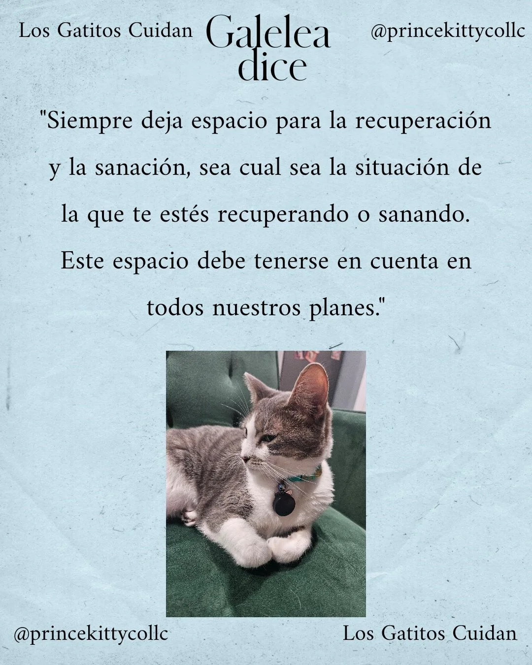 Siempre deja espacio.jpg