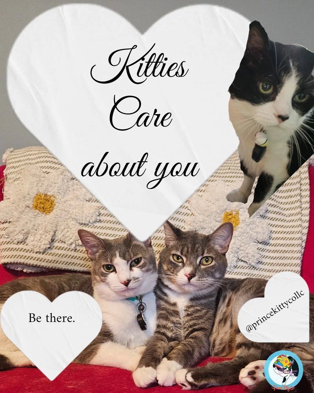 Kitties Care 2026
