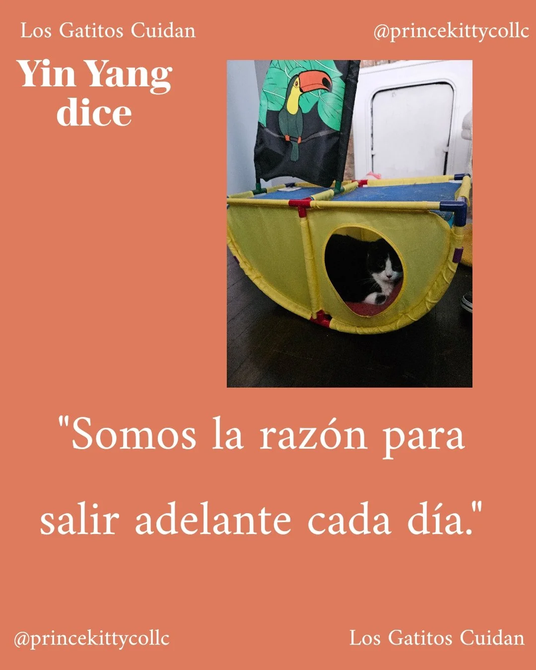 1782071944940.jpg