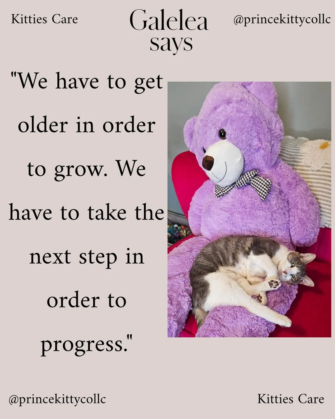 1780861559708.jpg