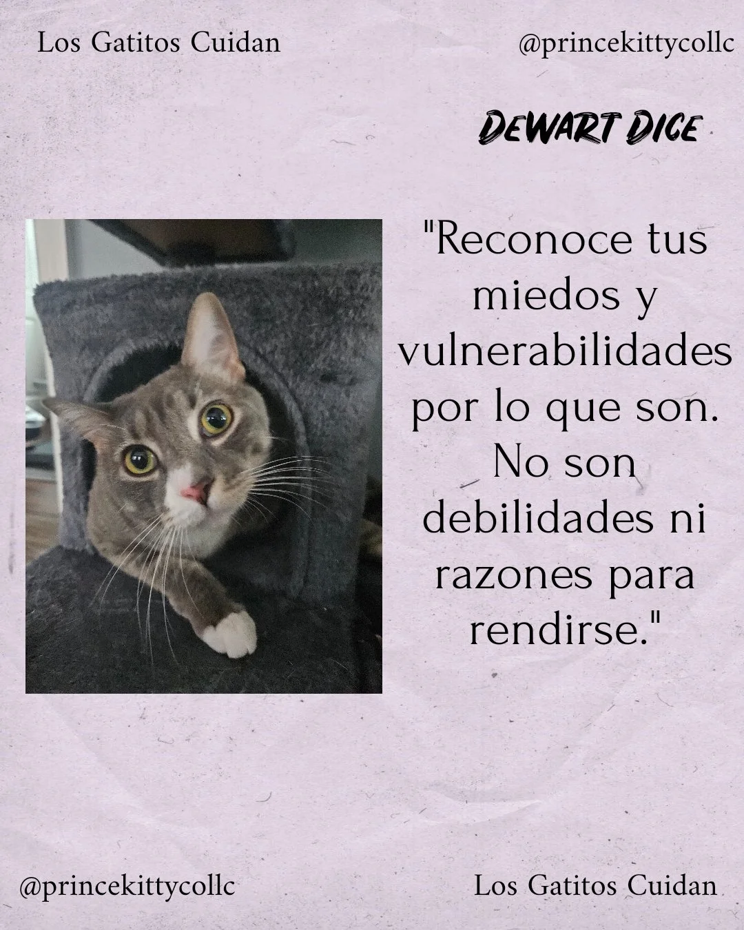 Reconoce tus miedos.jpg