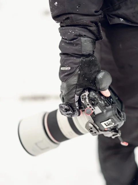 DSCF2931 Medium.jpeg