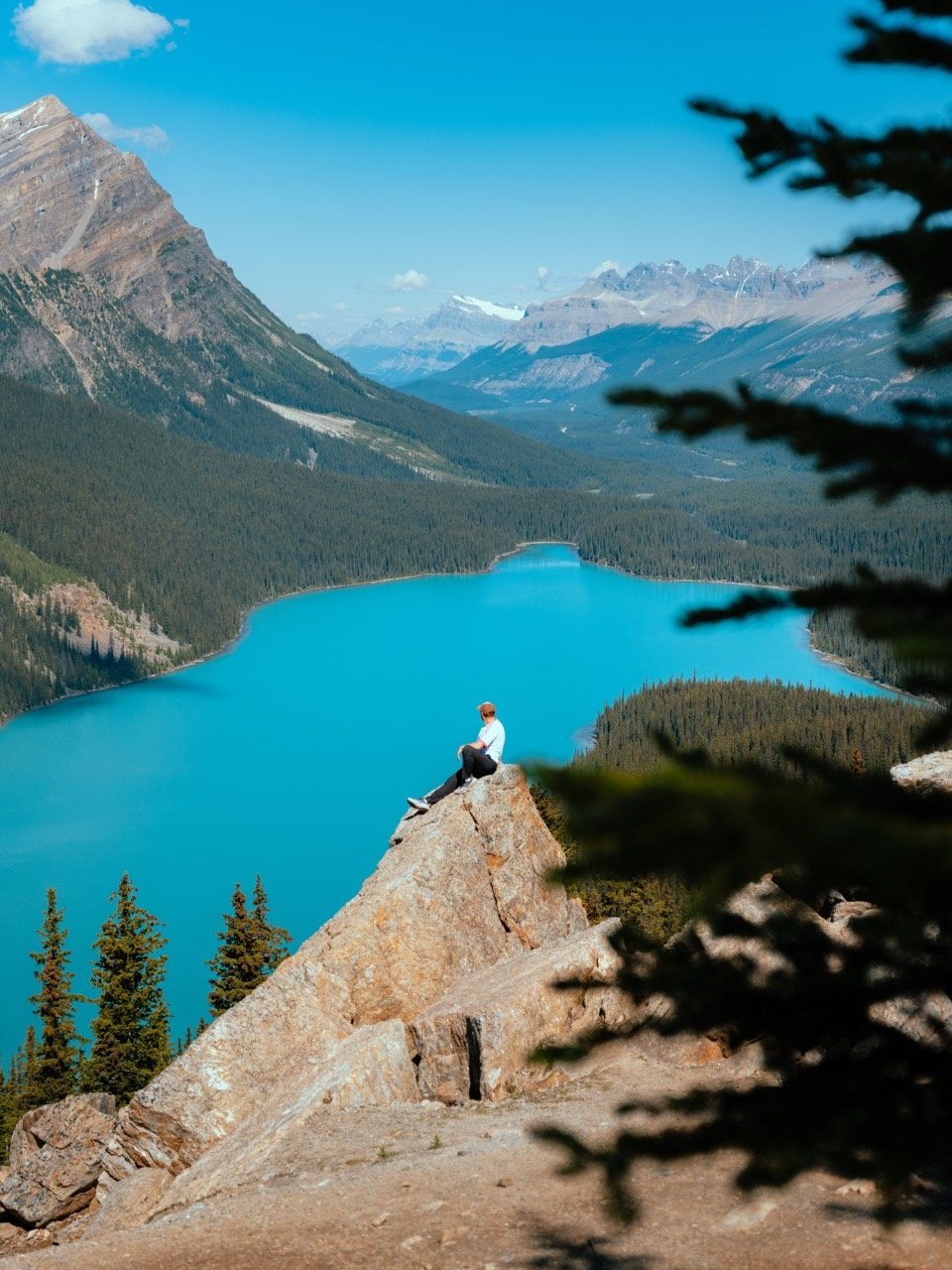 DSCF6232-2 Large.jpeg