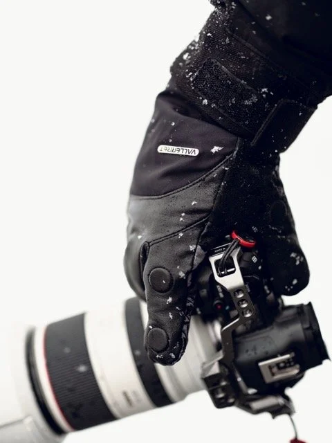 DSCF2942 Medium.jpeg