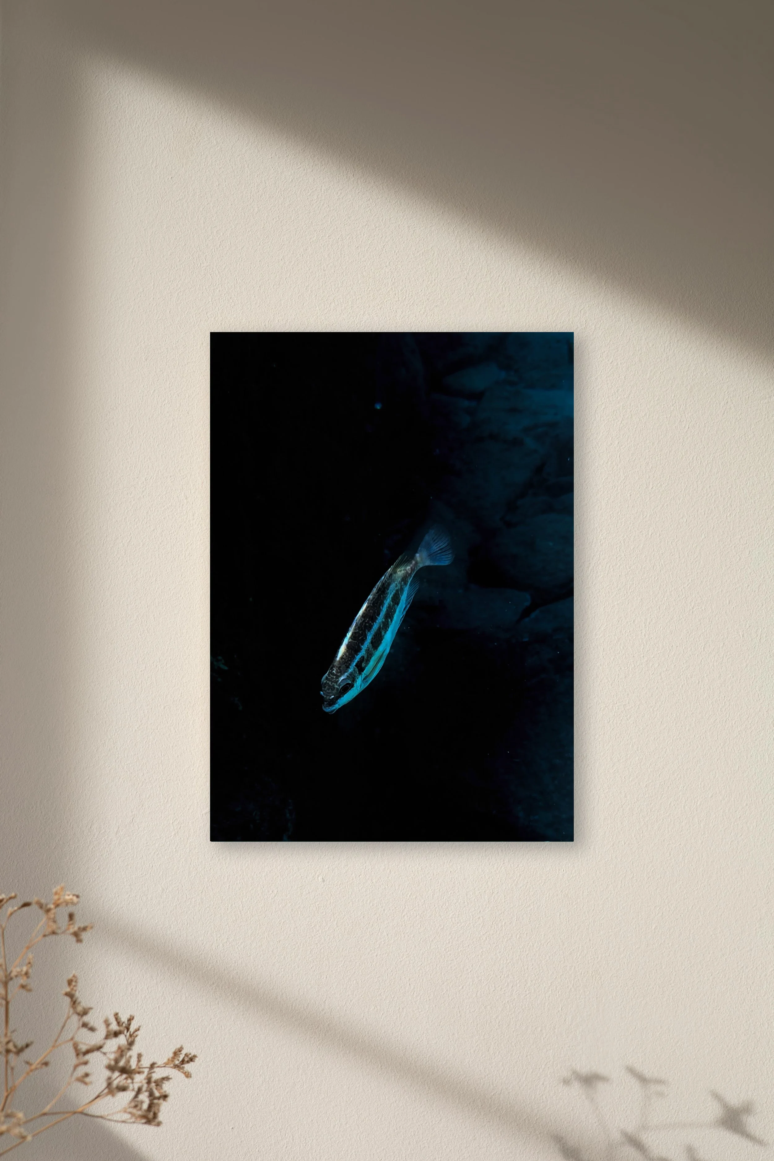 Water Bodies ·XI·