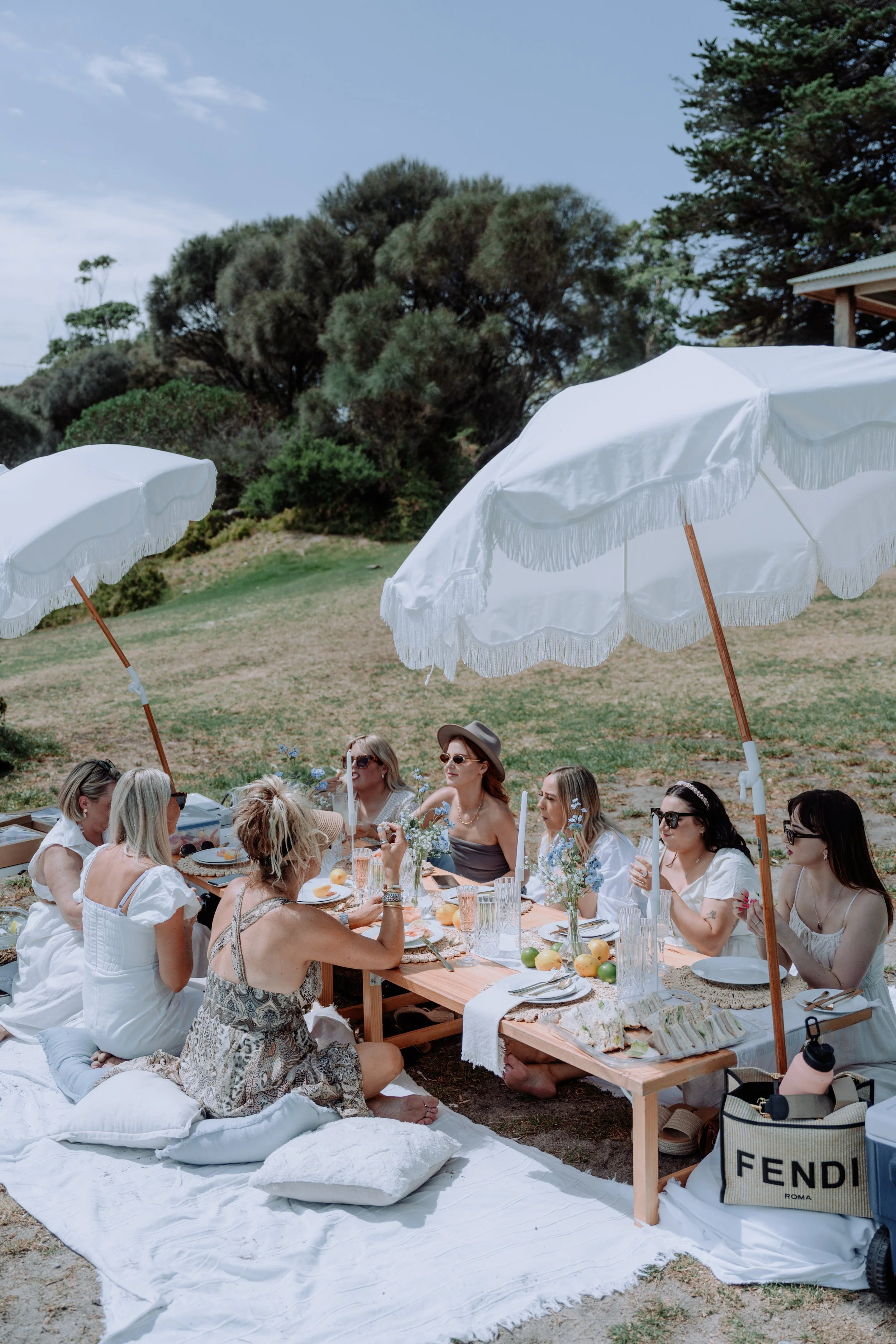 pop up picnic set up