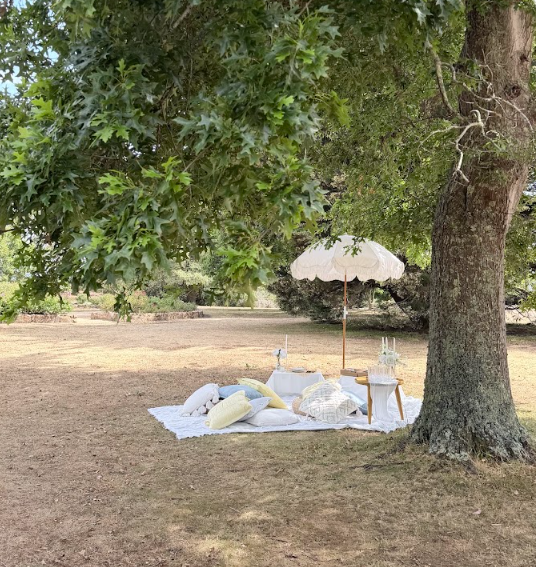 garden party picnic