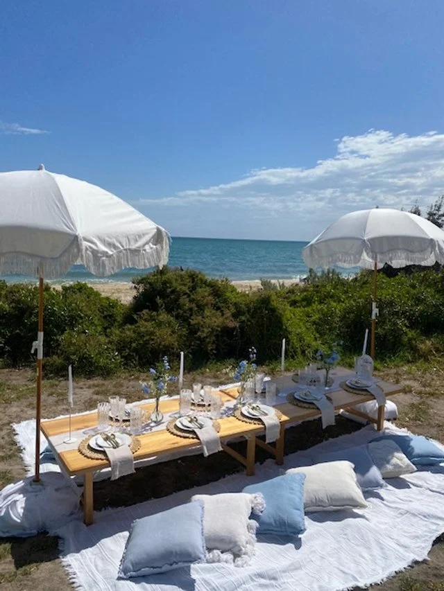Raised picnic 2.jpg