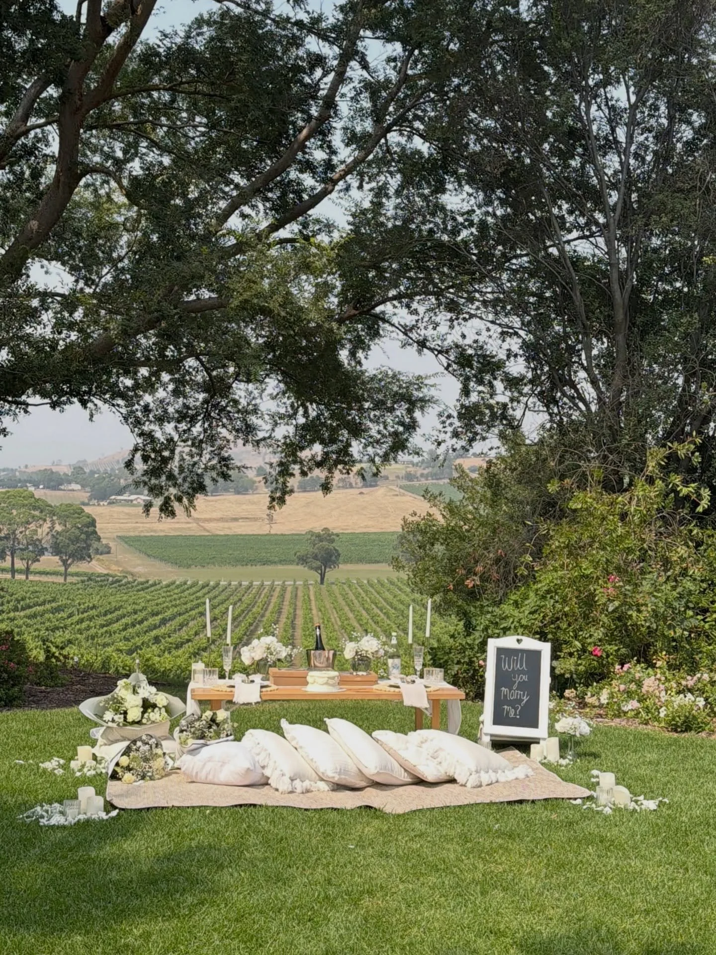 A love story to remember 🤍

Our Picnic Proposal Package with a couple of personal touches for the ultimate fairytale moment ✨

#proposal #proposalmelbourne #picnicproposal