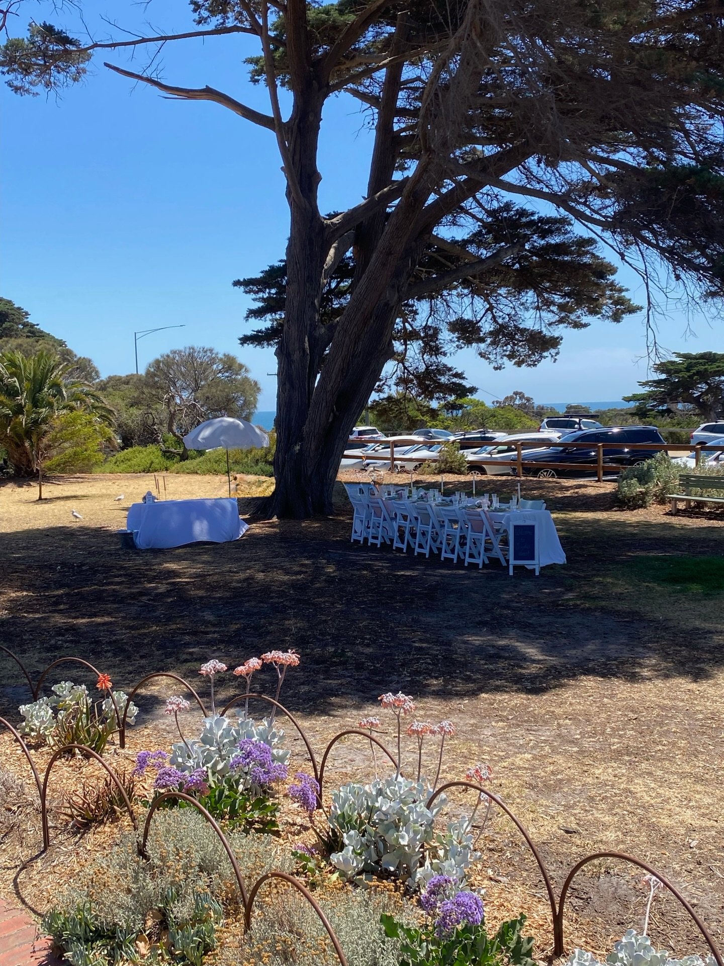 ✨🪩💗🍹🌸

An intimate garden bridal shower, with our Elevated picnic set up 💌

#popuppicnic #luxurypicnic #melbournepicnic