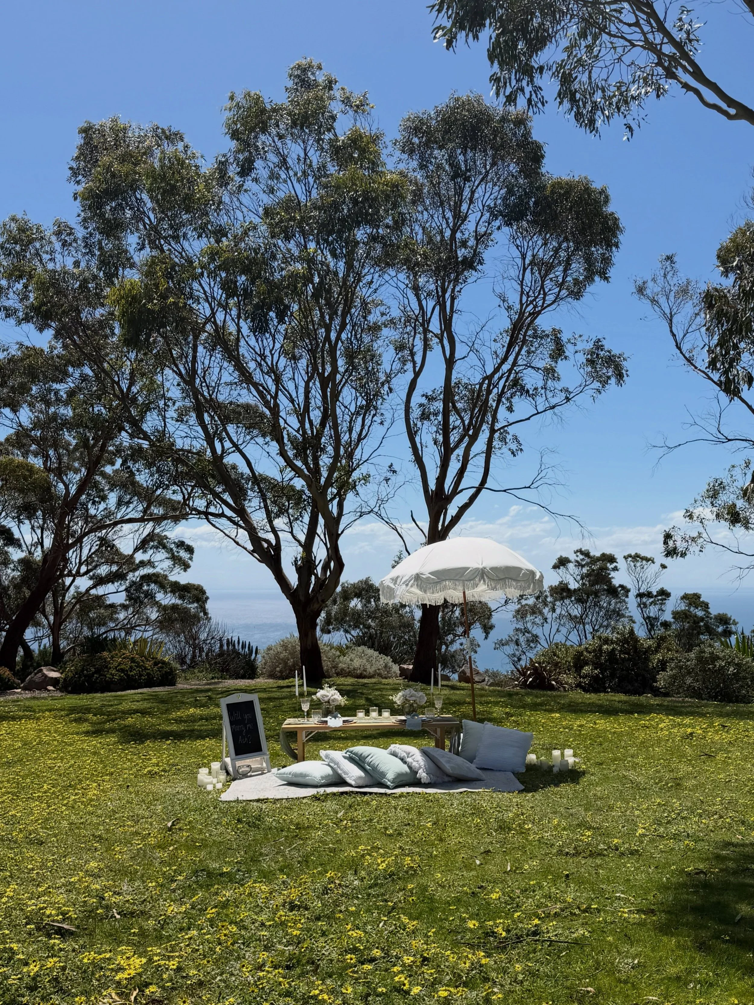 A beautiful setting, a little bubbly, and one very important question&hellip; 💍🥂🤍 Seawinds Gardens, you&rsquo;re a pretty special spot for a YES!

#picnicproposal  #proposalmelbourne #proposalideas #proposalplanner #engagementproposal