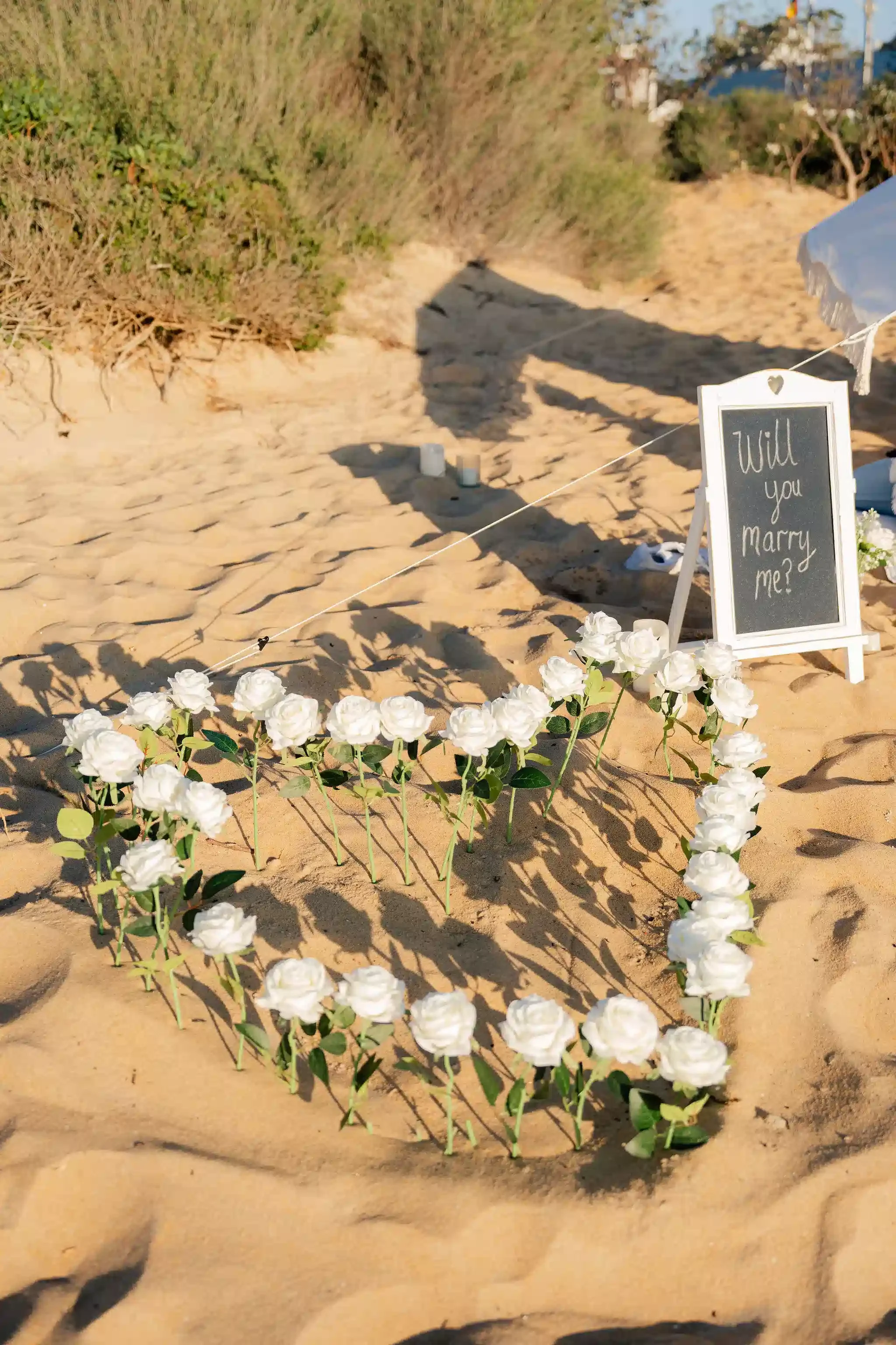white roses on beach for picnic proposal