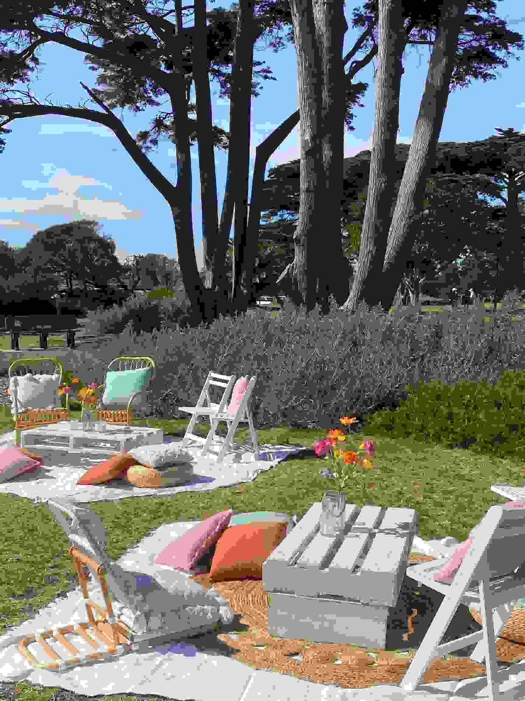 casual picnic set up in mornington