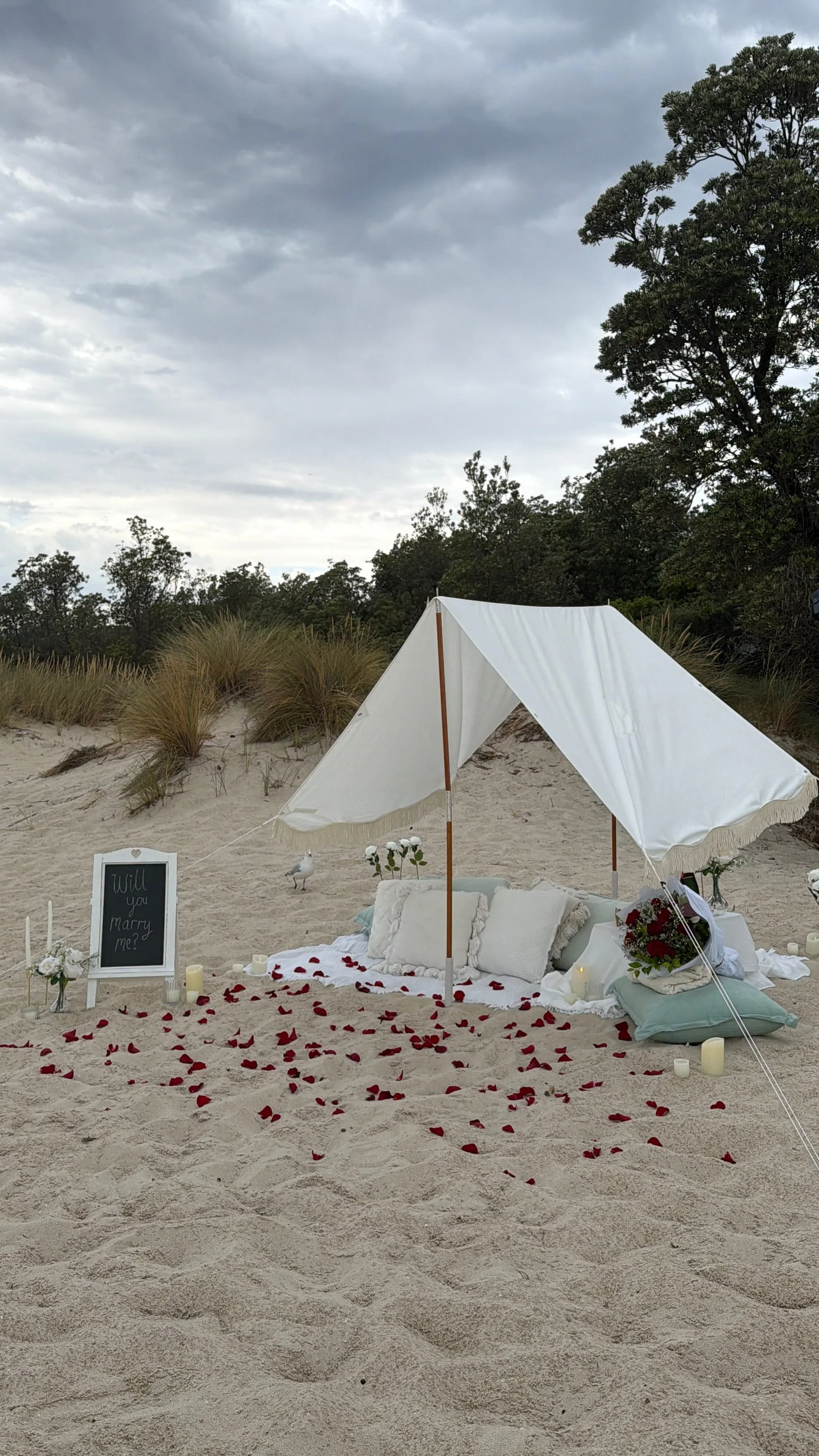 rose petals on beach