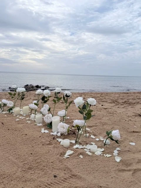 white roses on beach
