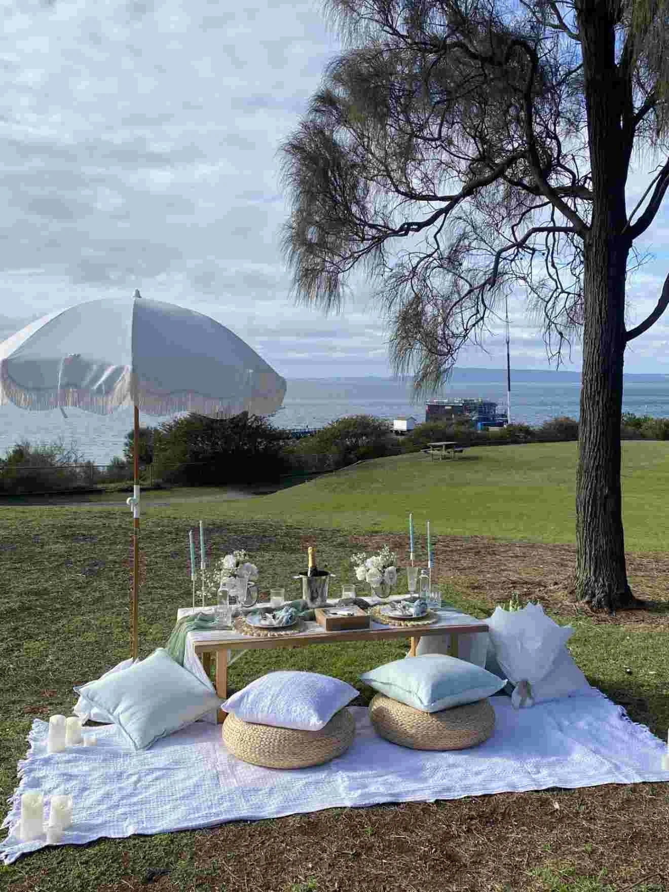 picnic proposal pop up in the park