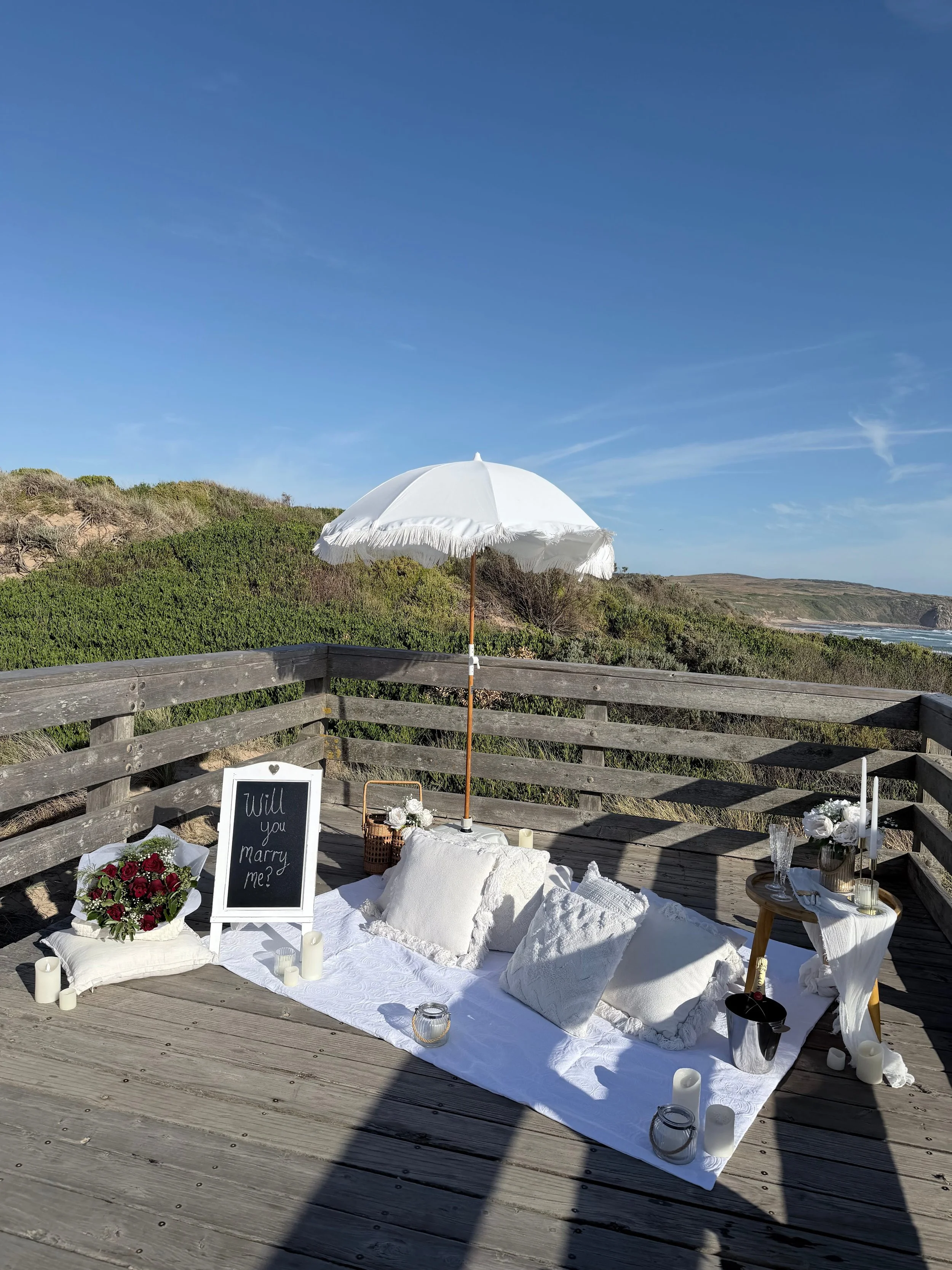 beach picnic proposal set up