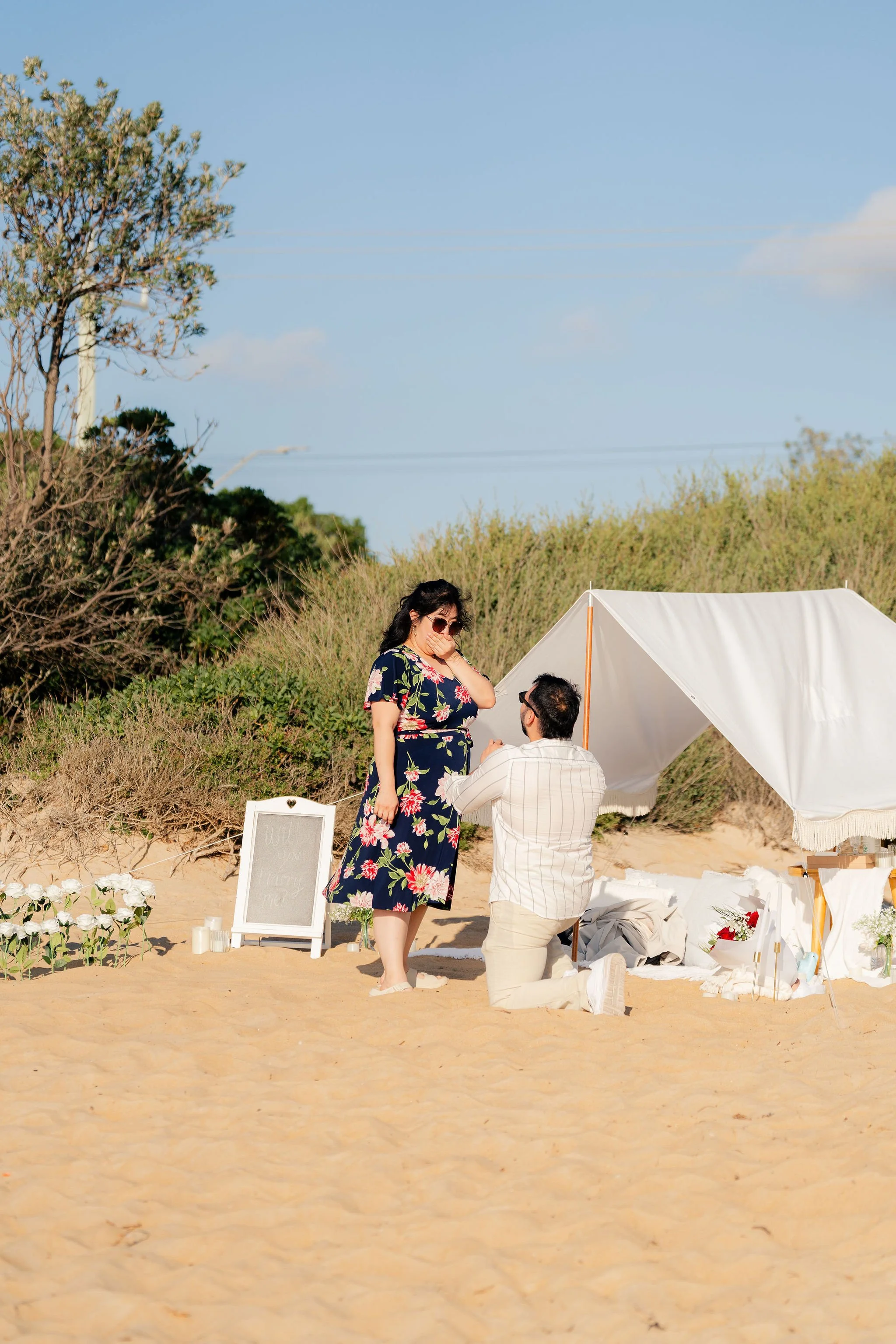 pop up picnic proposal