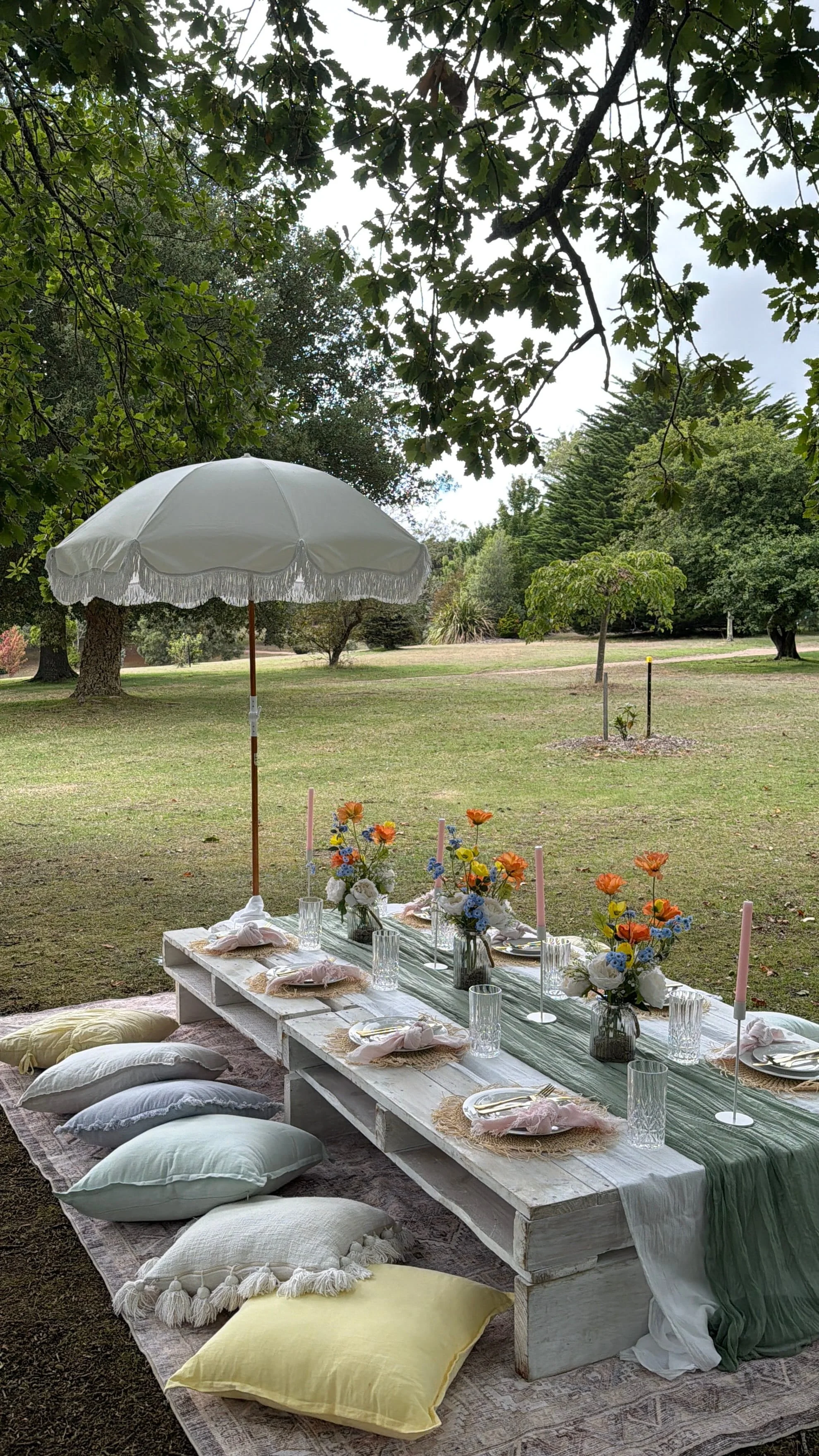 pop up picnic in the park