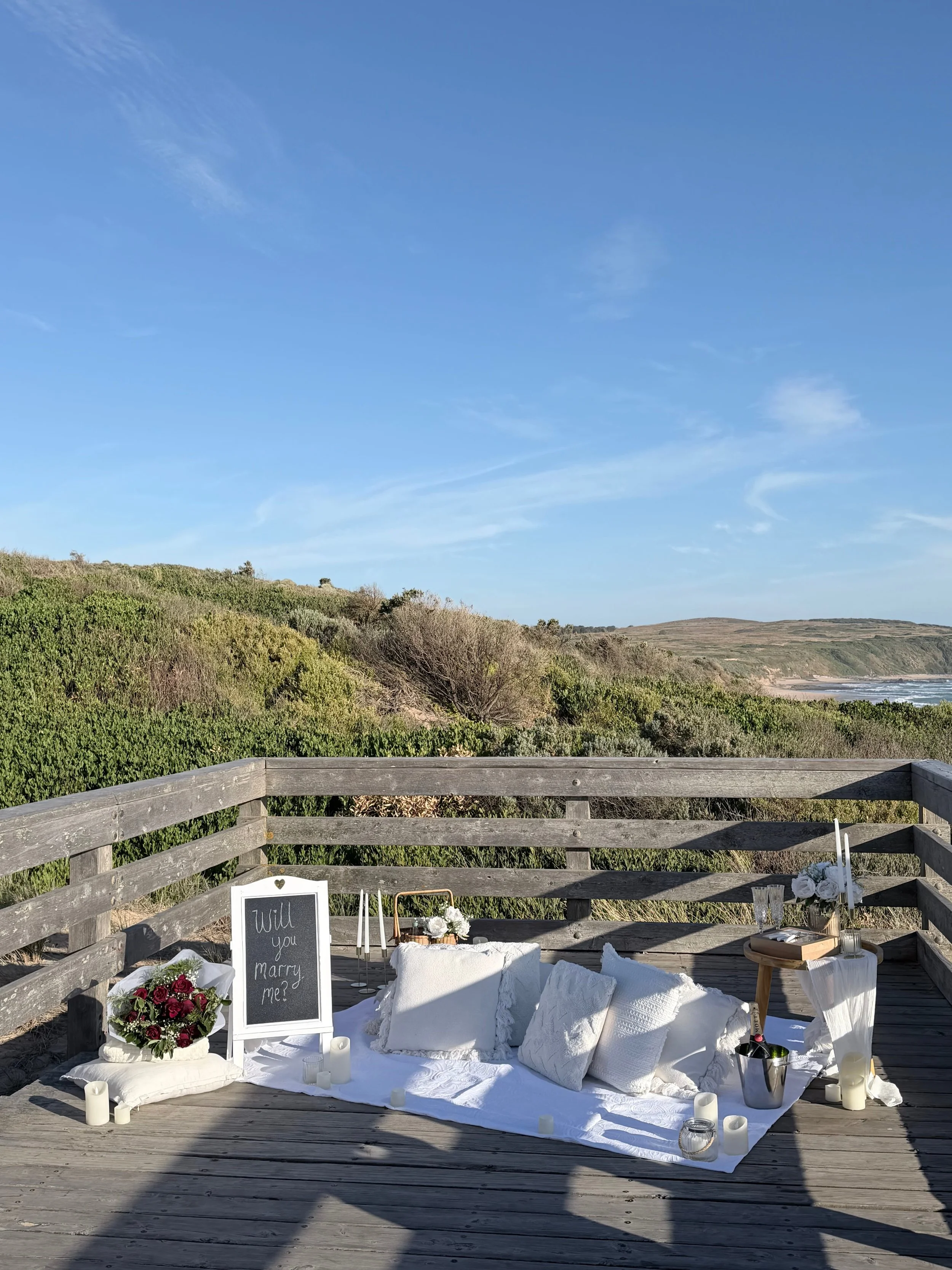 relaxed luxe picnic proposal