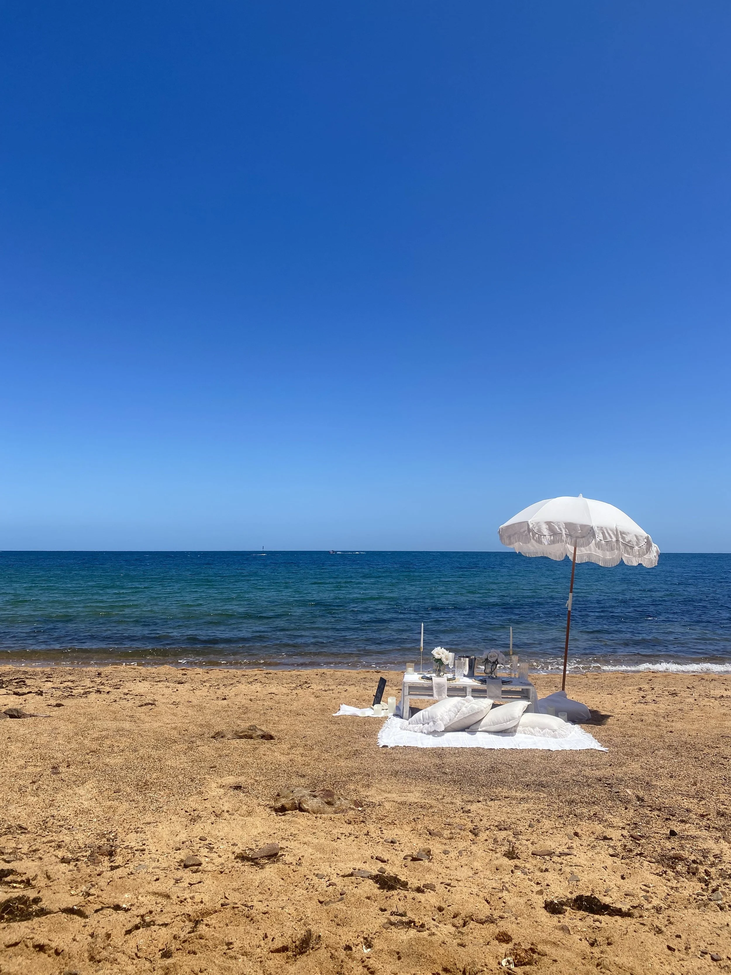 beach picnic proposal