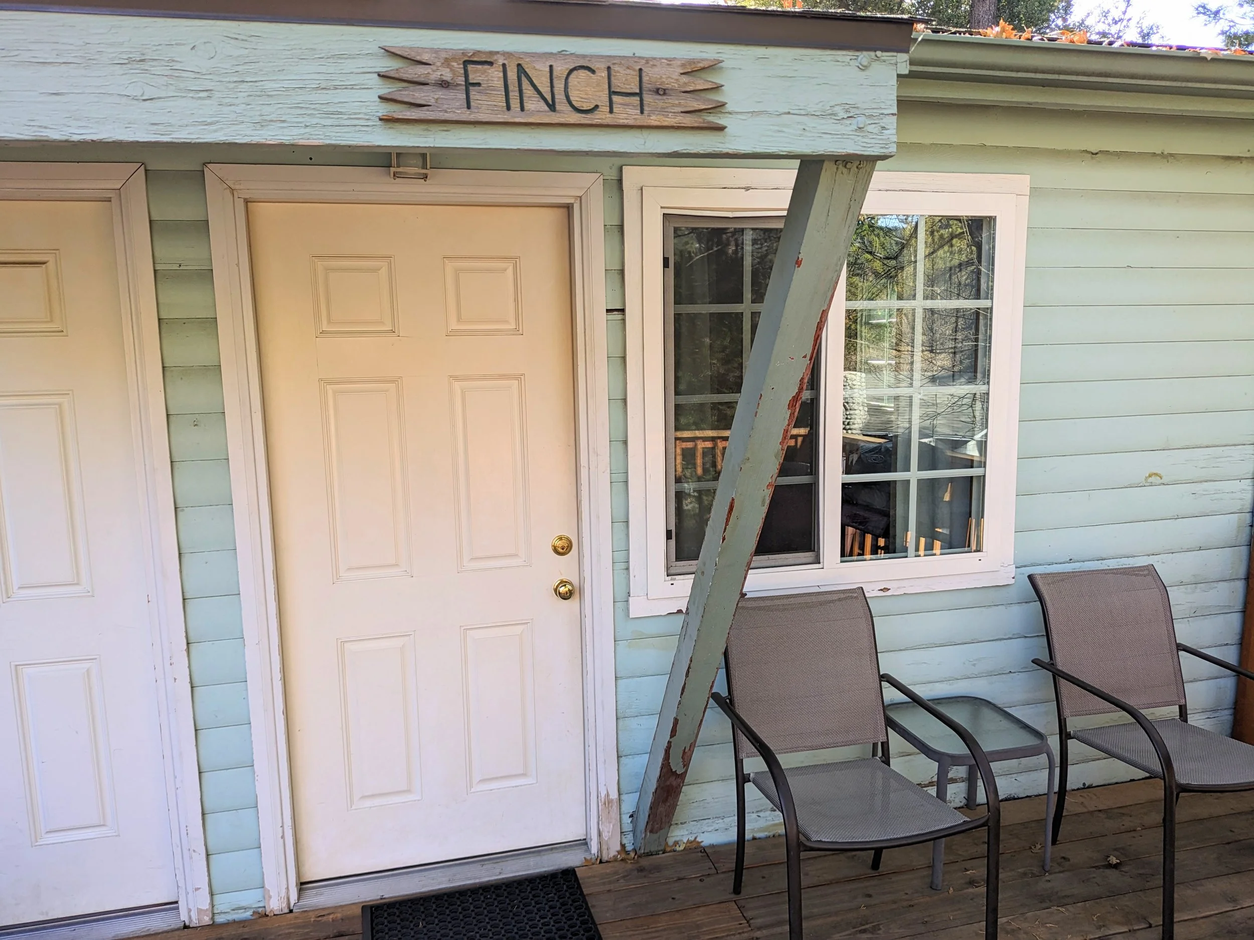 finch-0.jpg