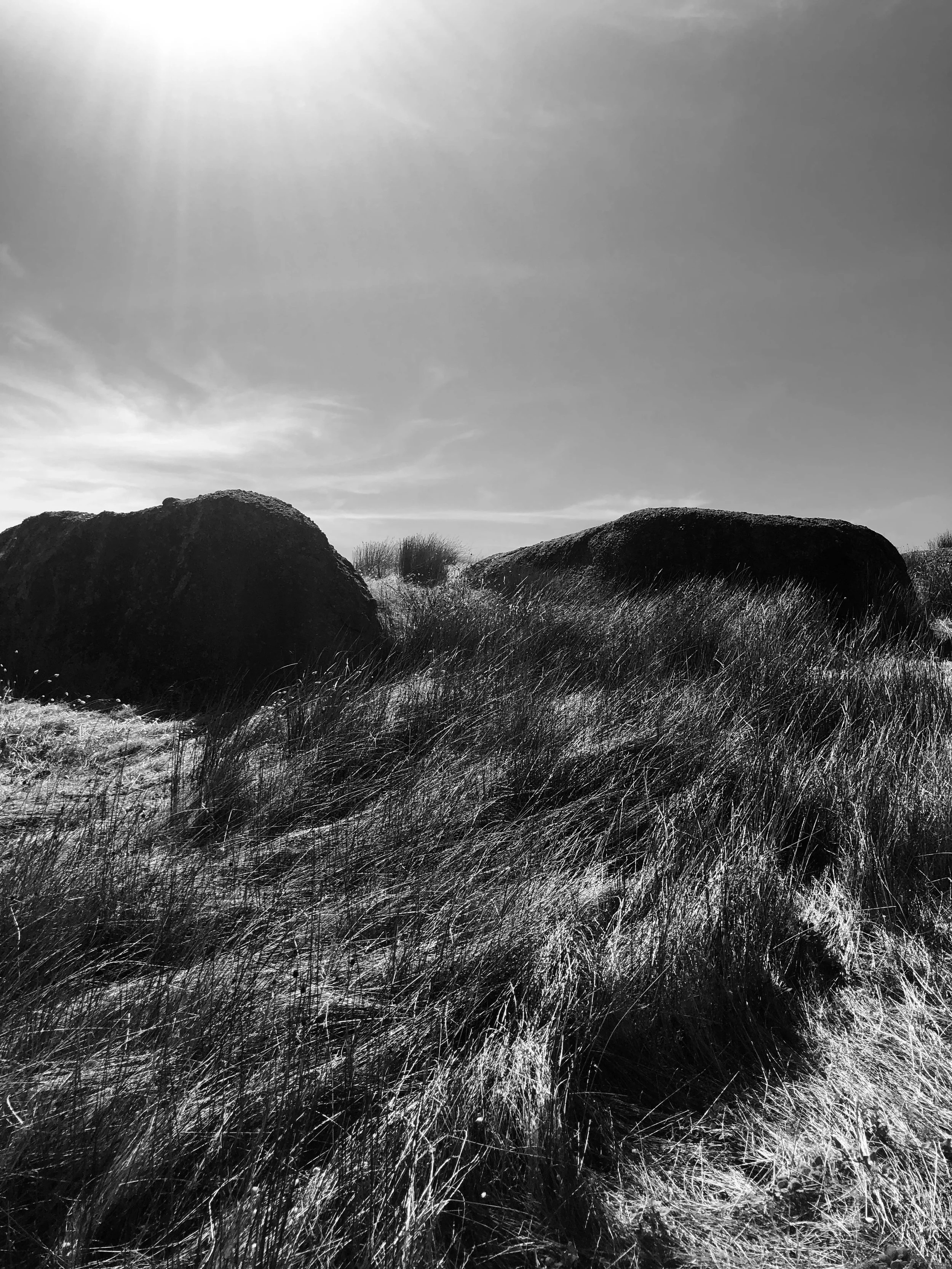IMG_9147.jpeg
