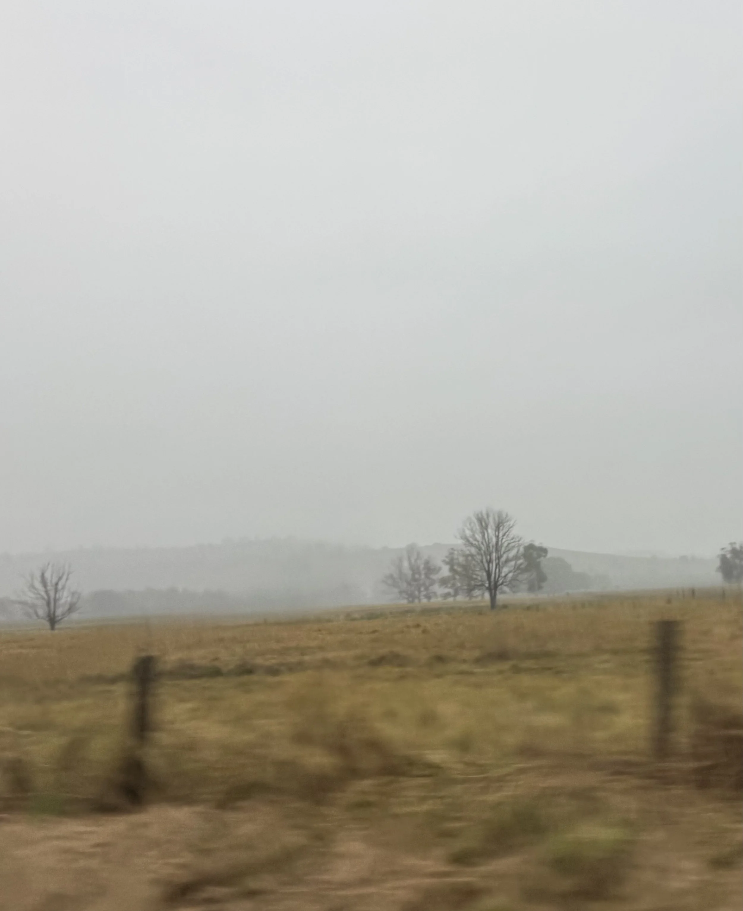 IMG_5648.jpeg