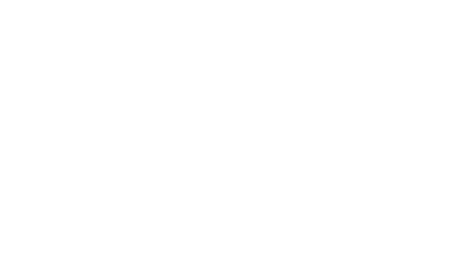 Kepler guitars