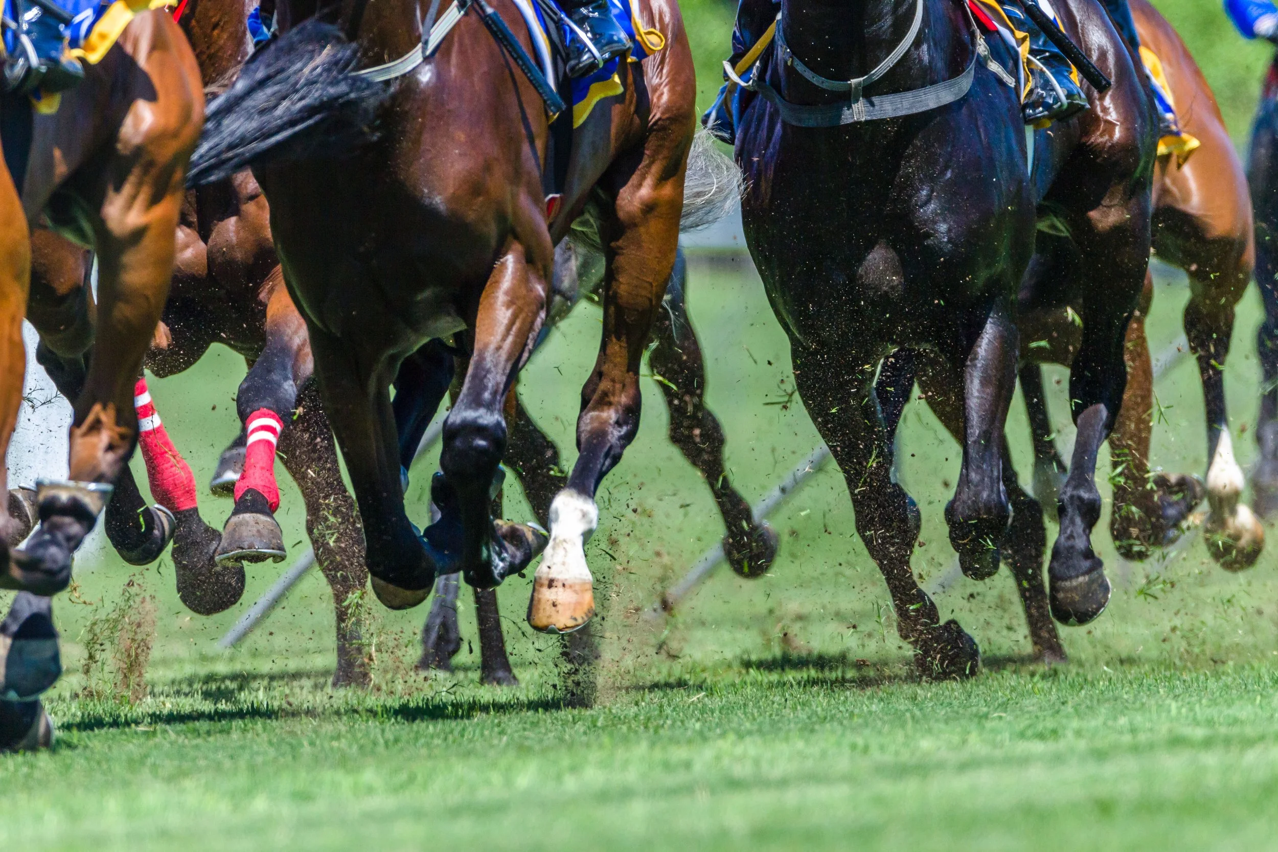 Queanbeyan Racecourse/Rewa Aesthetics Prize Vouchers Voucher Terms &amp; Conditions