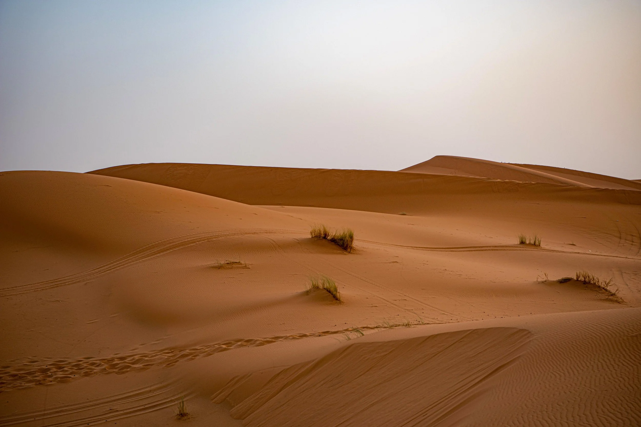 dune.jpg