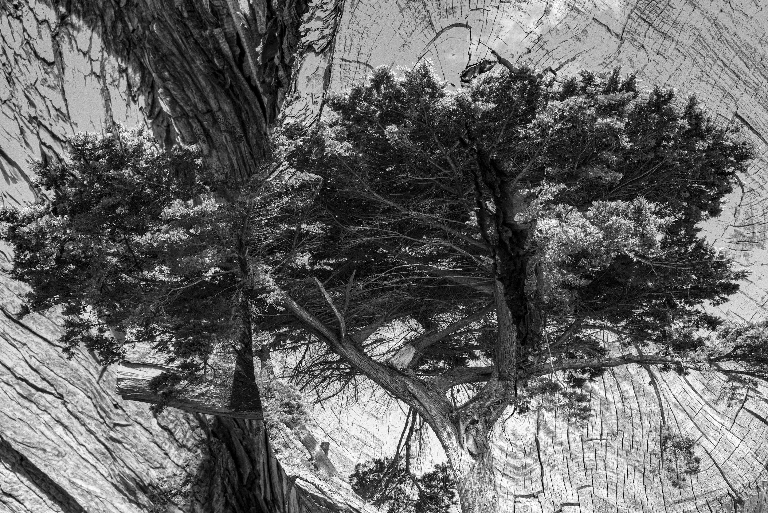 BWstkilda-11.jpg