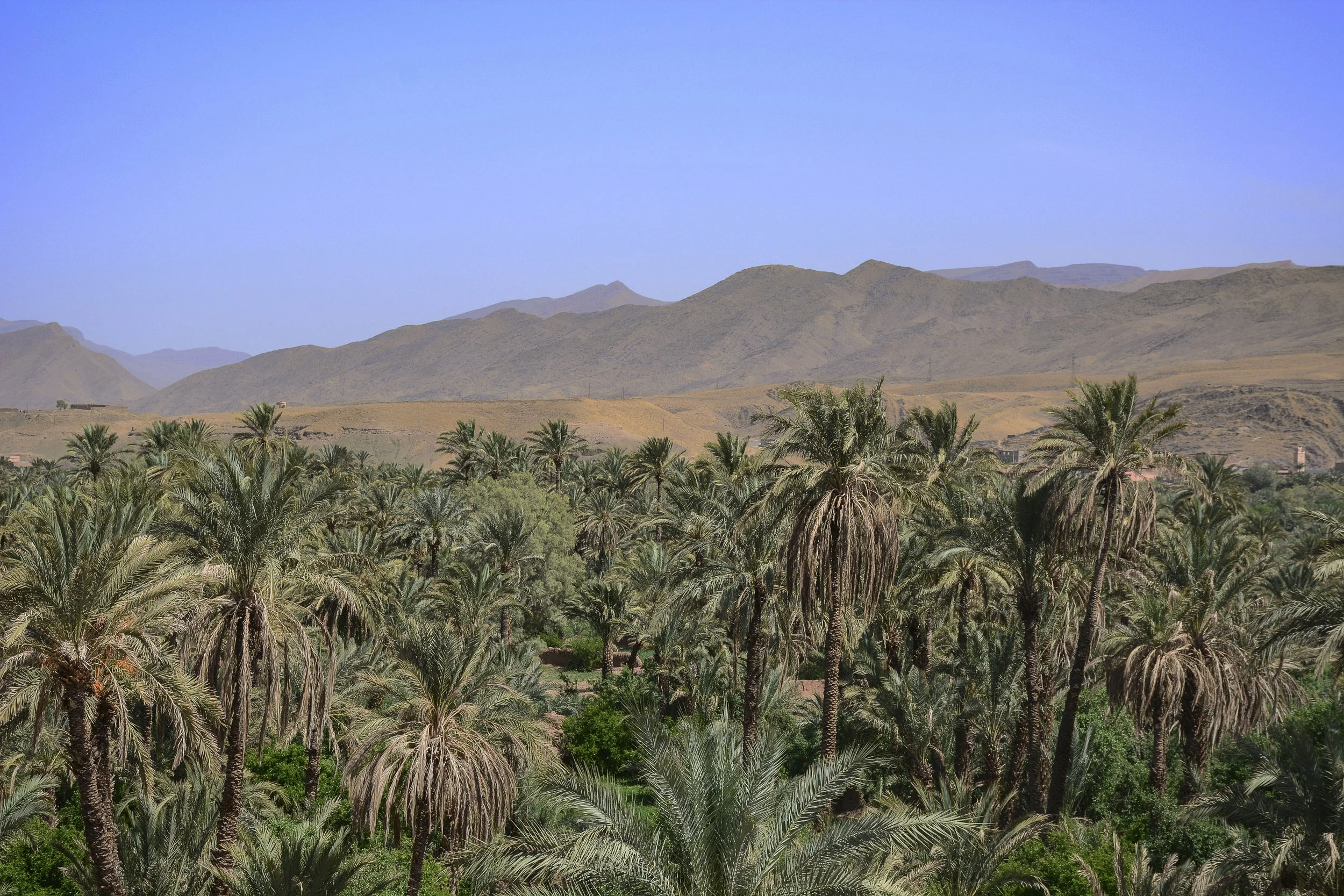 moroccoweb-37.jpg
