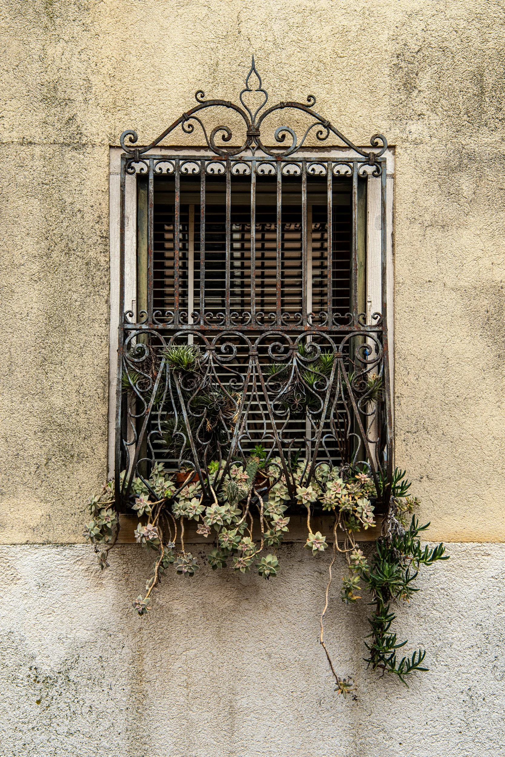 window.jpg